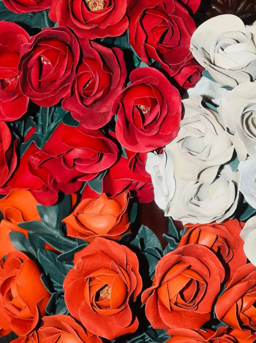 Rosas de Couro