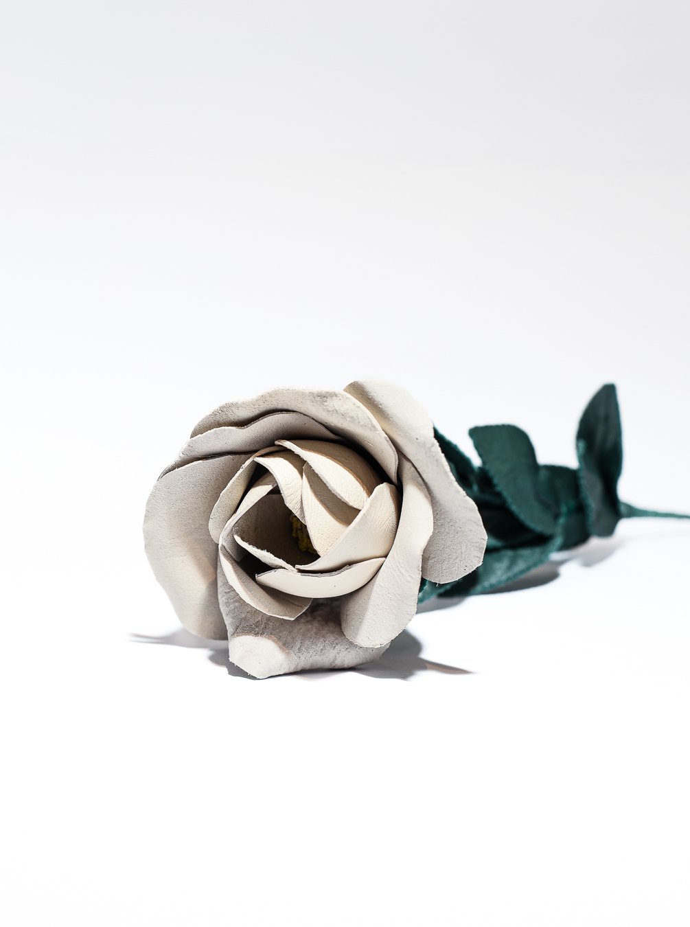 Rosas de Couro